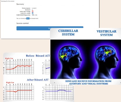 Training materials and brain diagrams for Berard AIT practitioner training
